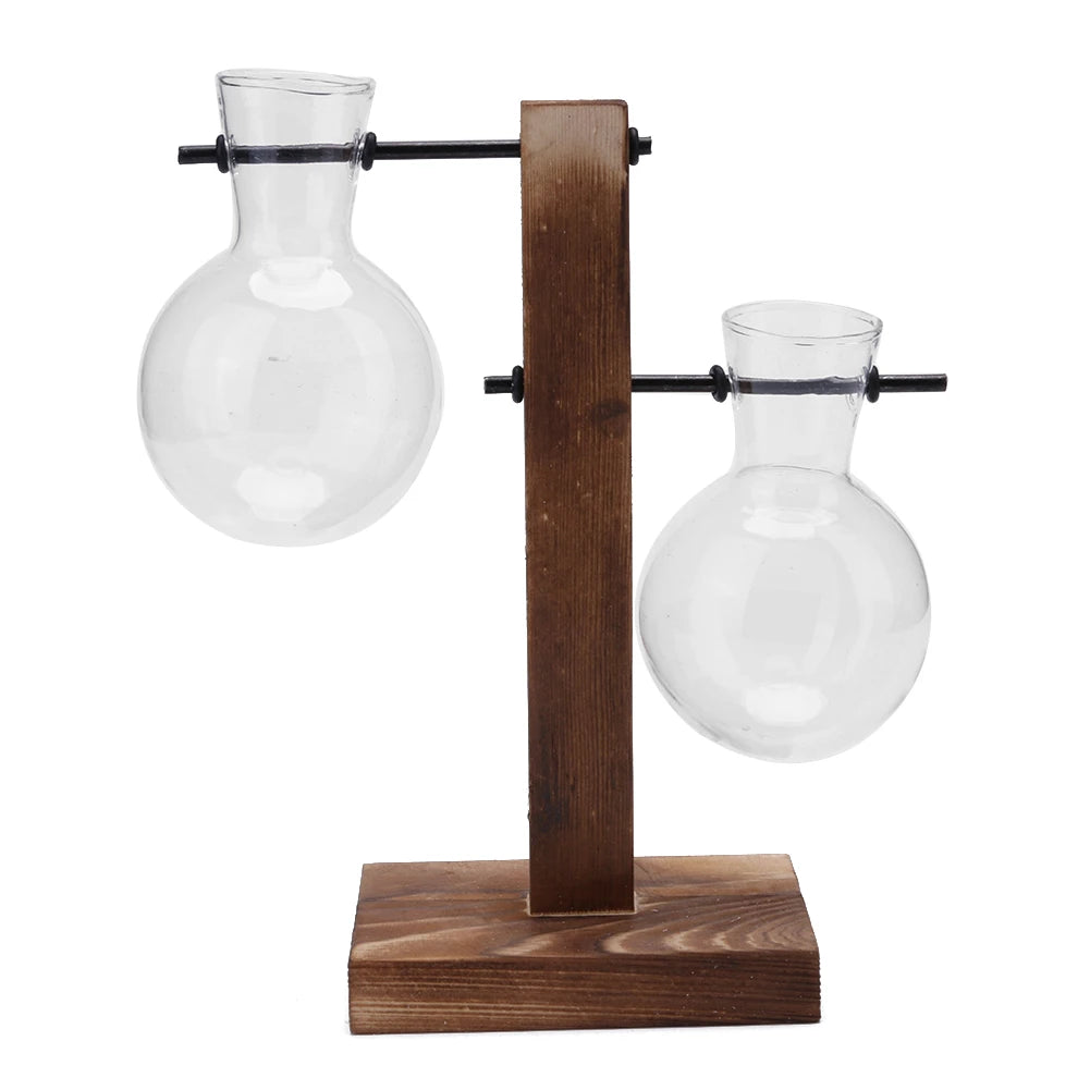 Plant Terrarium with Wooden Stand Hydroponic Planter Bulb Glass Bonsai Flower Pot