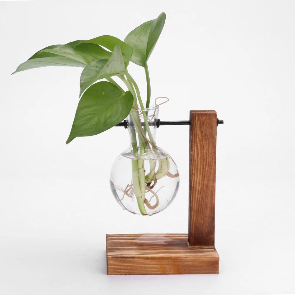 Plant Terrarium with Wooden Stand Hydroponic Planter Bulb Glass Bonsai Flower Pot