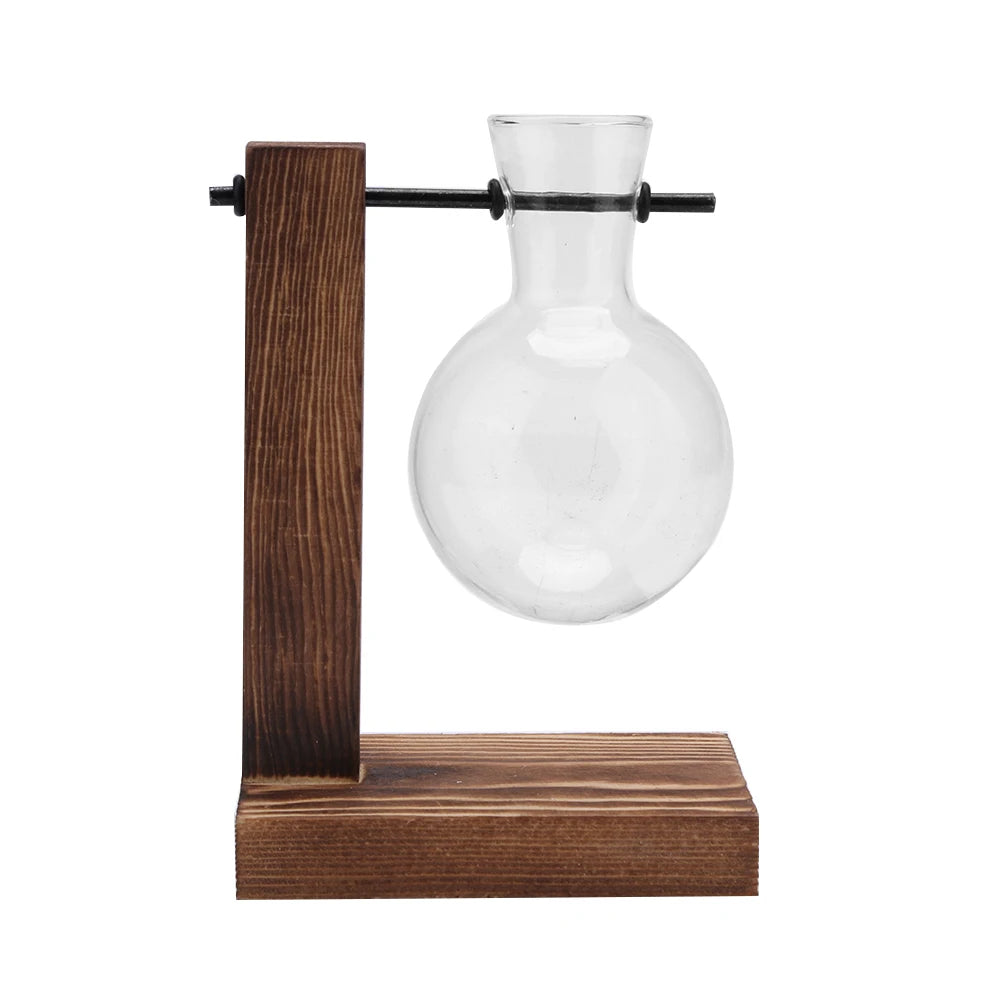 Plant Terrarium with Wooden Stand Hydroponic Planter Bulb Glass Bonsai Flower Pot