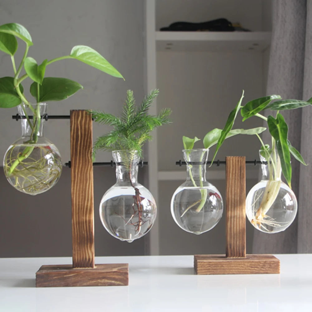 Plant Terrarium with Wooden Stand Hydroponic Planter Bulb Glass Bonsai Flower Pot