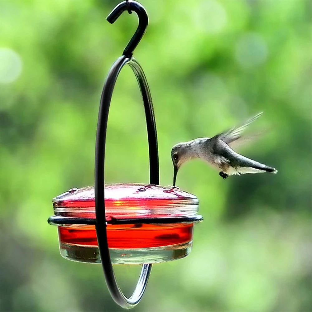 Hummingbird Feeder with Red Glass Bowl Garden Backyard Patio Deck