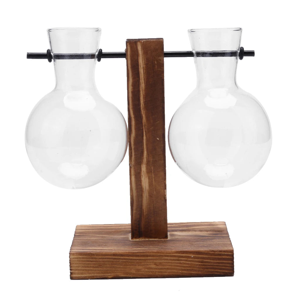 Plant Terrarium with Wooden Stand Hydroponic Planter Bulb Glass Bonsai Flower Pot