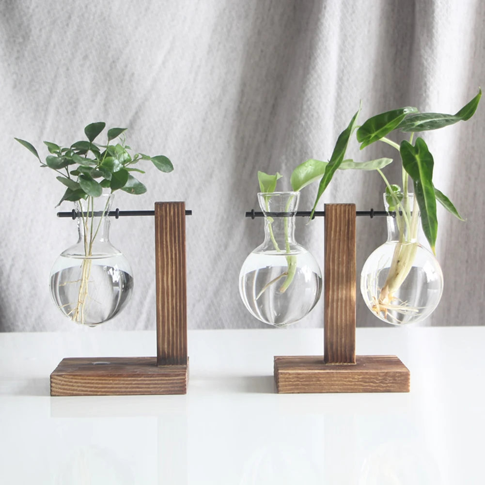 Plant Terrarium with Wooden Stand Hydroponic Planter Bulb Glass Bonsai Flower Pot