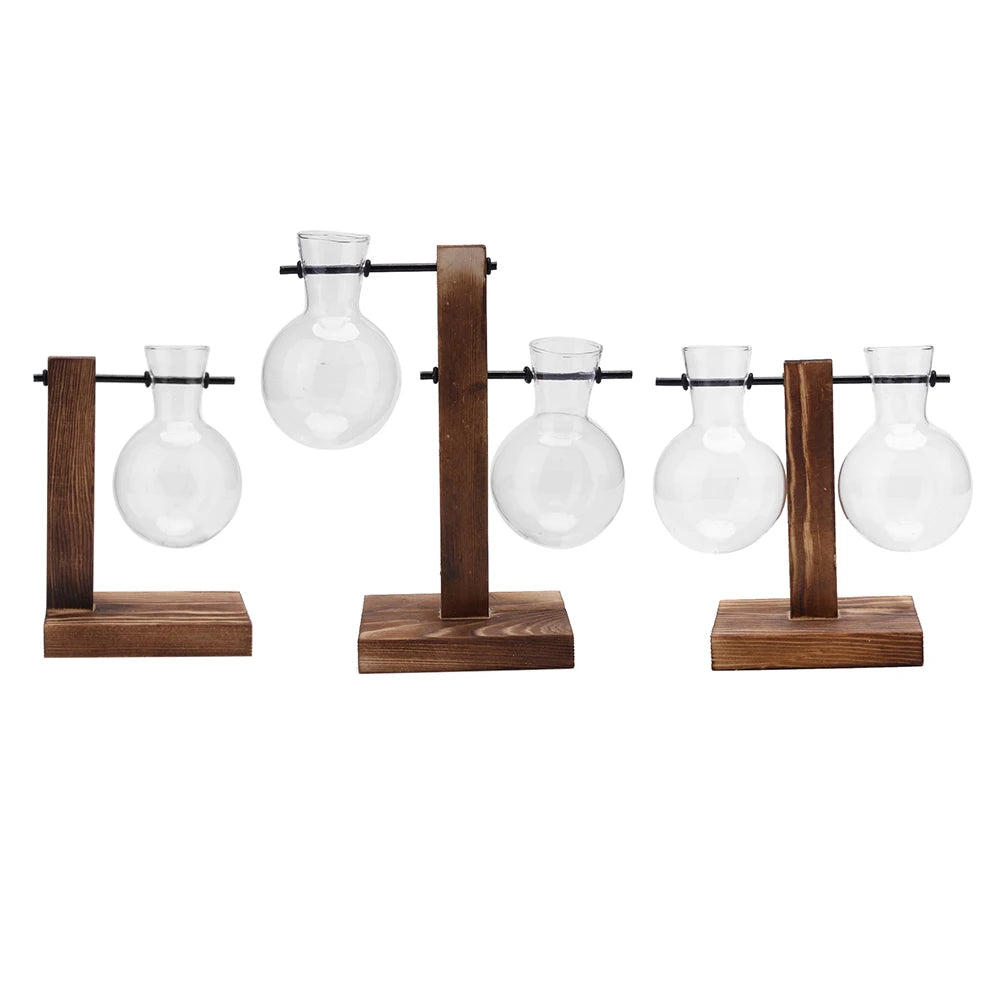 Plant Terrarium with Wooden Stand Hydroponic Planter Bulb Glass Bonsai Flower Pot