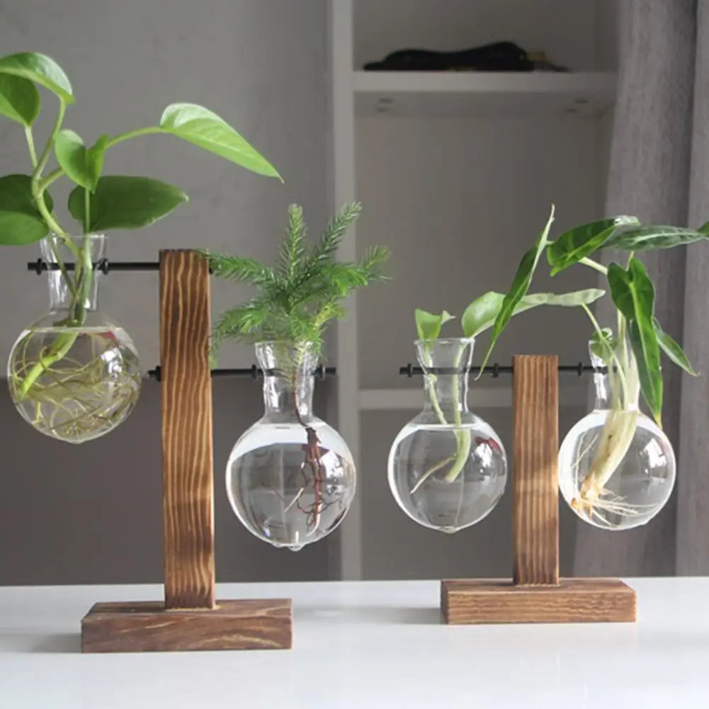 Plant Terrarium with Wooden Stand Hydroponic Planter Bulb Glass Bonsai Flower Pot