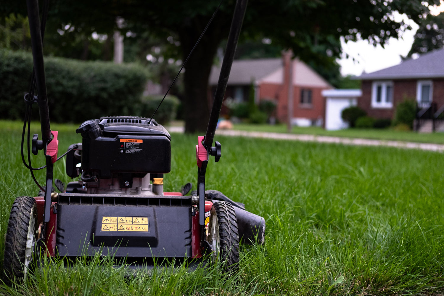 Landscaping