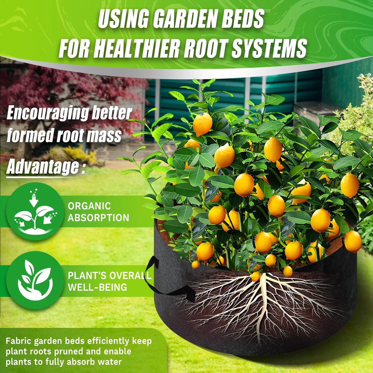 Plant Grow Bags with Handle for Growing Vegetables, Potato, Flowers