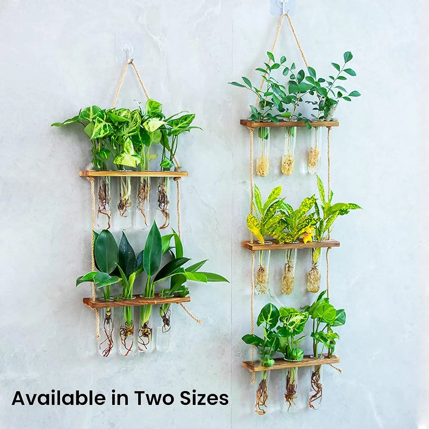 Wall Hanging Test Tube, Glass Planter