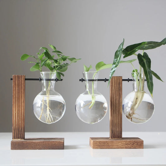 Plant Terrarium with Wooden Stand Hydroponic Planter Bulb Glass Bonsai Flower Pot