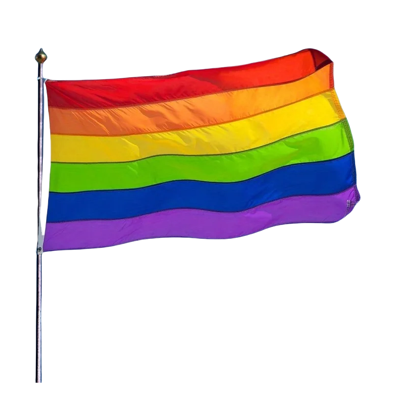 10 3x5 foot Rainbow flags -