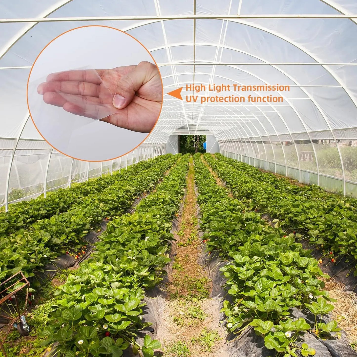 25FT x 40FT Greenhouse Film, UV Protect
