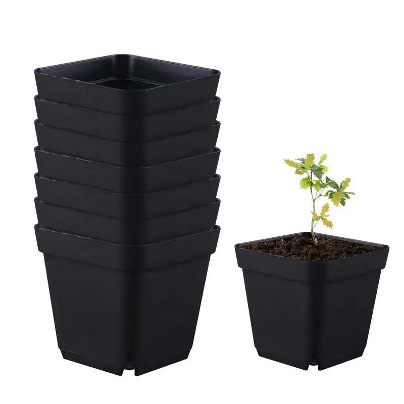 50PCS Square Seedling Pots