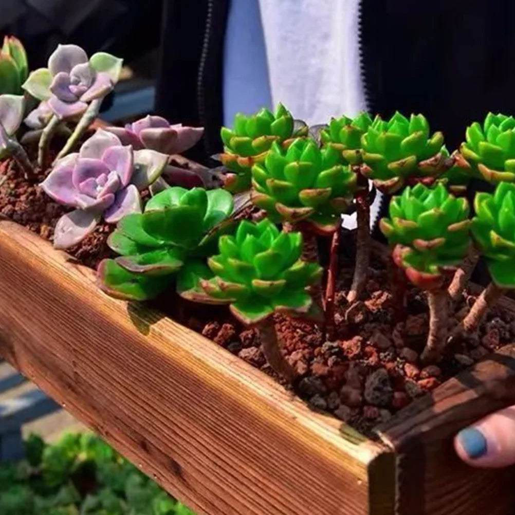 Antiseptic Wood Flower Box Retro Window Outdoor Pot Cedar Succulent Decorative Pots