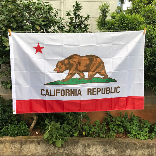 Z-ONE FLAG Bear Printed 90X150cm High Quality polyester hanging   California State Flag