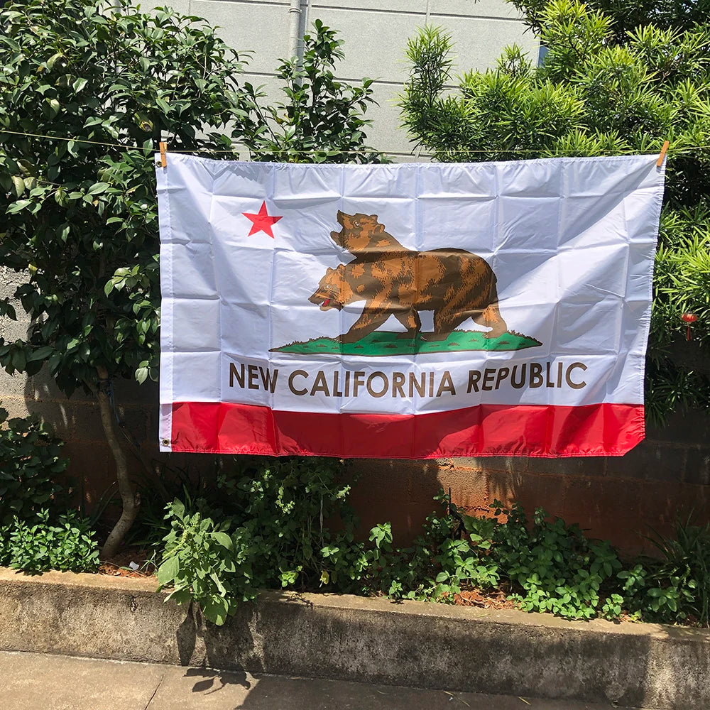 Z-ONE FLAG Bear Printed 90X150cm High Quality polyester hanging   California State Flag