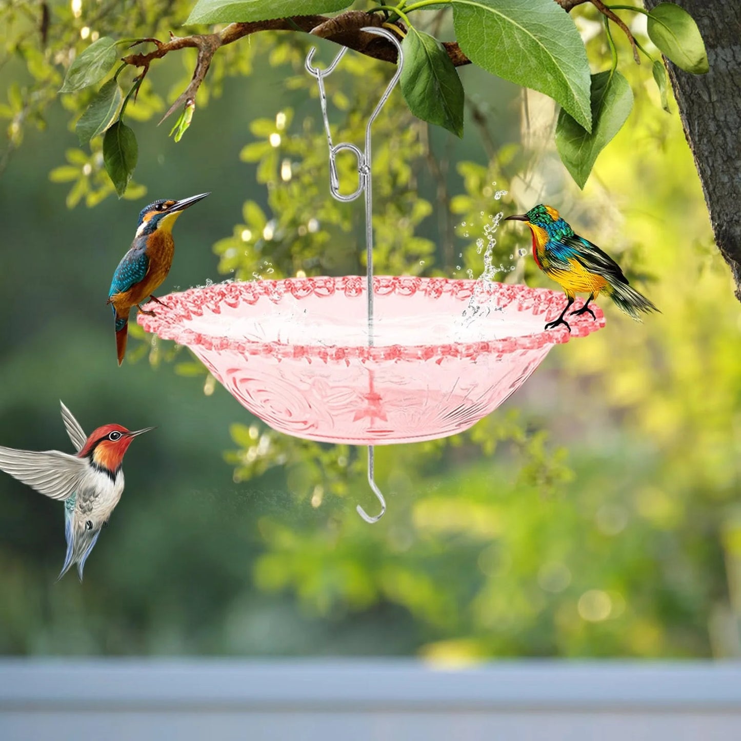 Hanging Bird Bathtub Feeder Transparent  Drinking Bowl with Hook and Chain
