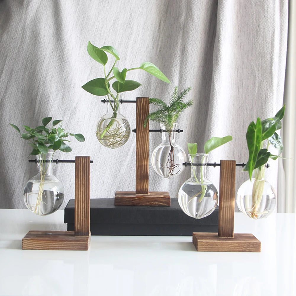 Glass Desktop Planter Bulb Vase Wooden Stand Hydroponic Plant Container Tabletop Decor Vases