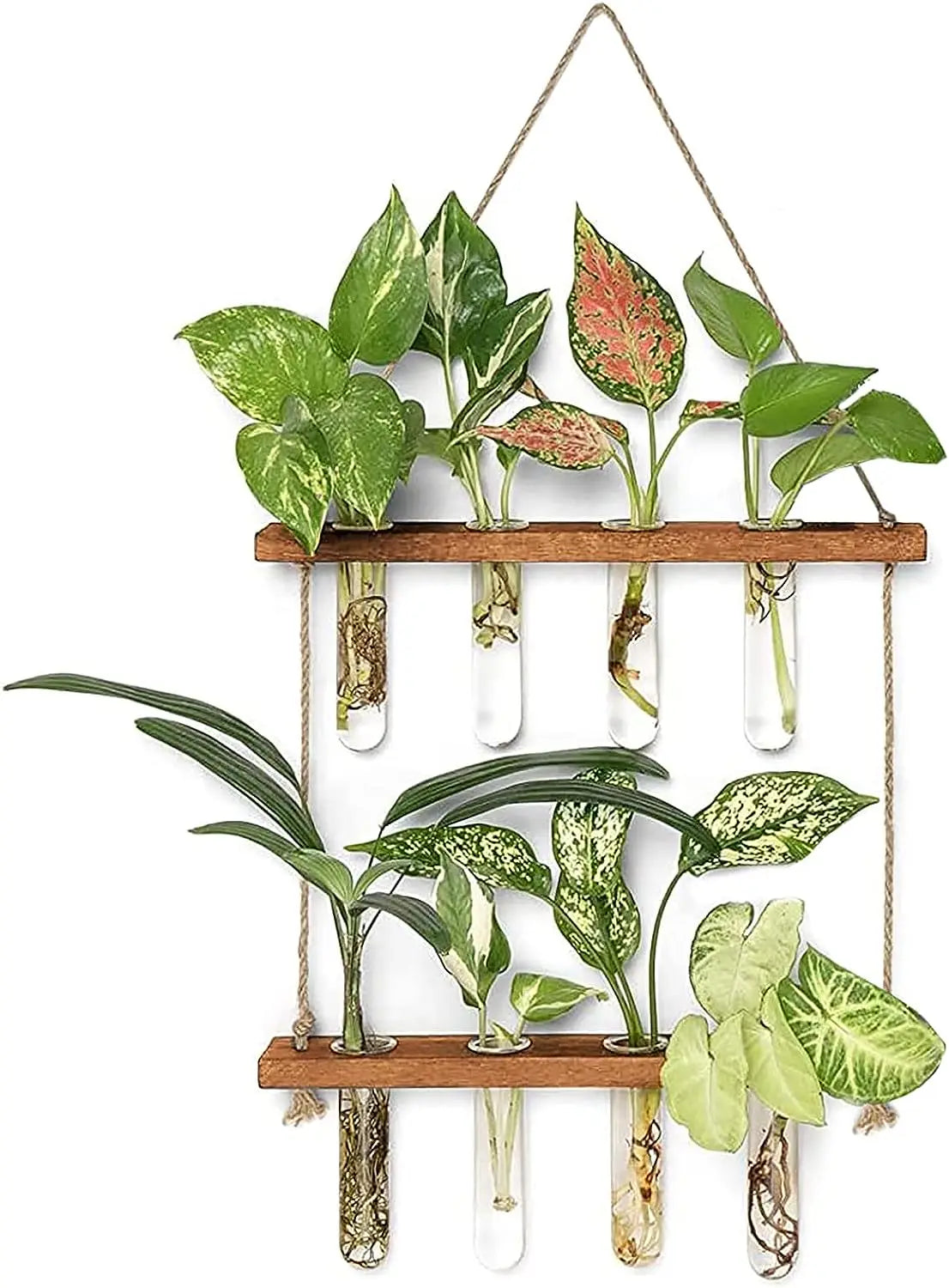 Wall Hanging Test Tube, Glass Planter