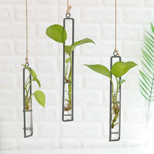 Glass Hanging Hydroponic Plant vasesTube Planter Exquisite Wall Hanging Tube Vase for Living Room Porch Balcony