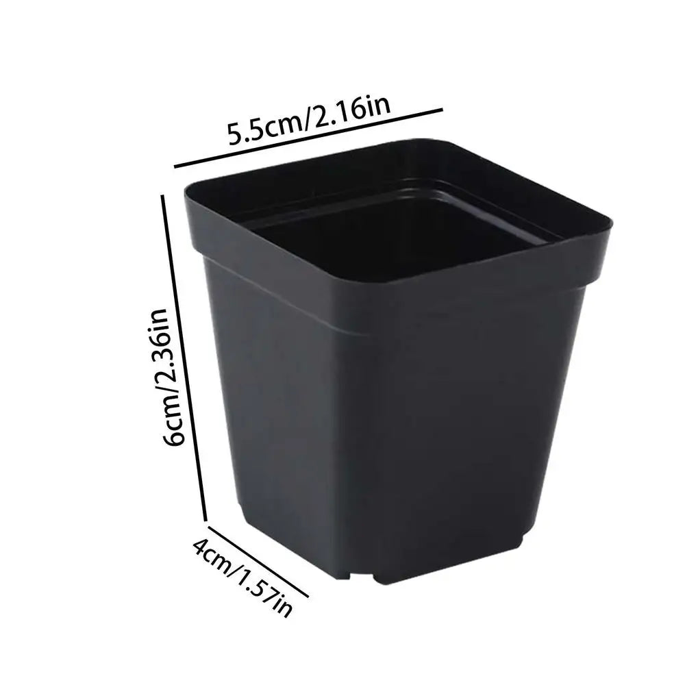 50PCS Square Seedling Pots