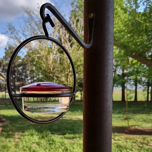 Hummingbird Feeder with Red Glass Bowl  Garden Backyard Patio Deck