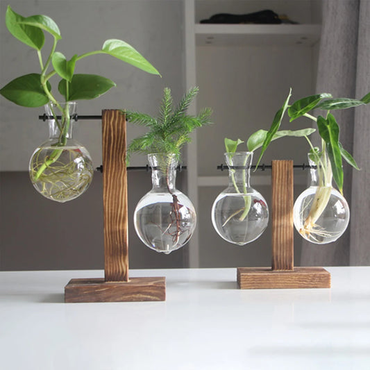 Glass Desktop Planter Bulb Vase Wooden Stand Hydroponic Plant Container Tabletop Decor Vases